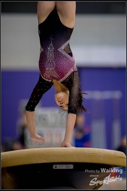 2019-03-31 Artistic Gym 0518