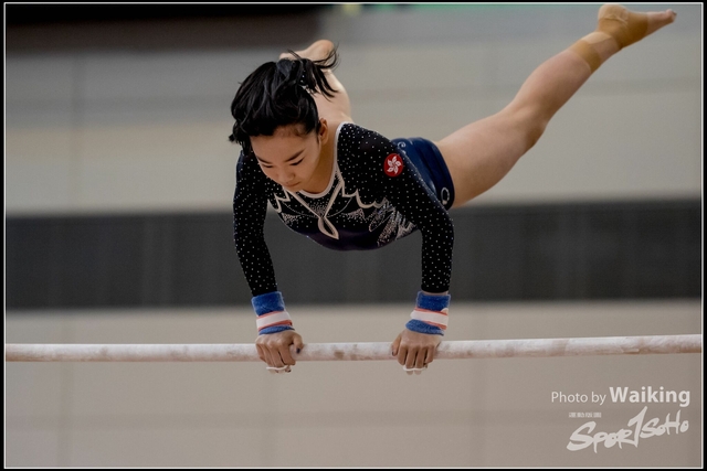 2019-03-31 Artistic Gym 0530