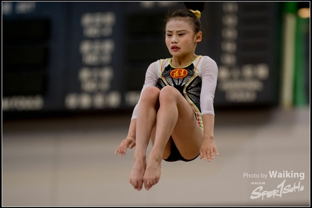 2019-03-31 Artistic Gym 0542