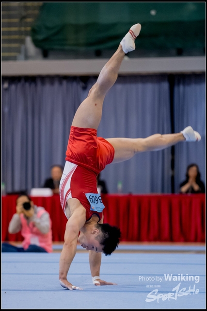 2019-03-31 Artistic Gym 0557