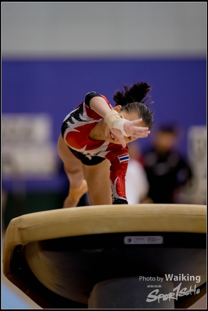 2019-03-31 Artistic Gym 0566