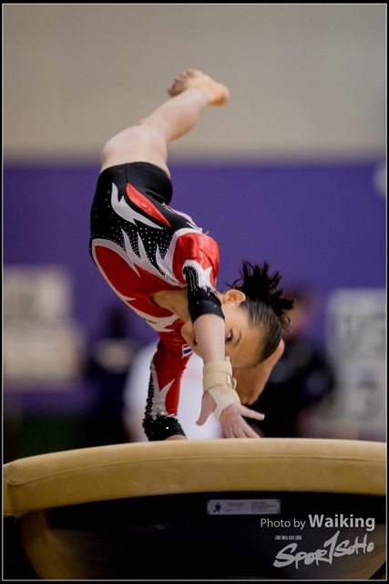 2019-03-31 Artistic Gym 0567