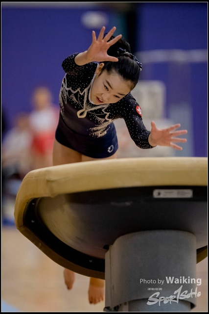 2019-03-31 Artistic Gym 0569