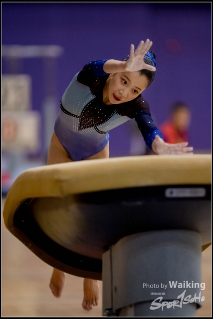 2019-03-31 Artistic Gym 0578