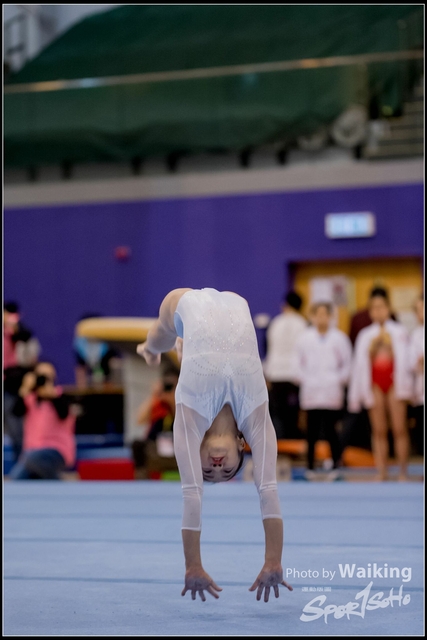 2019-03-31 Artistic Gym 0581