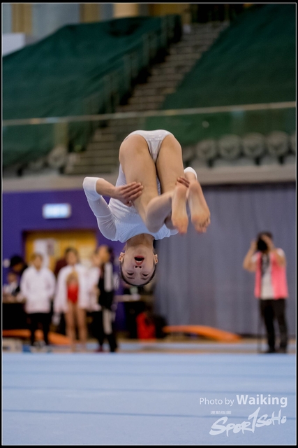 2019-03-31 Artistic Gym 0583