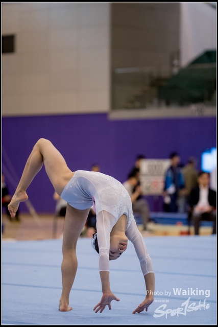2019-03-31 Artistic Gym 0586