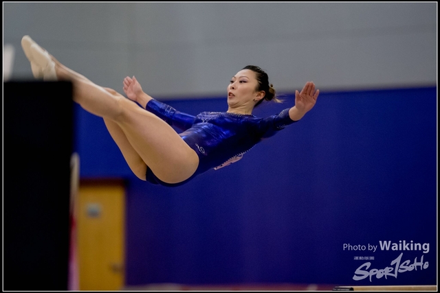 2019-03-31 Artistic Gym 0597
