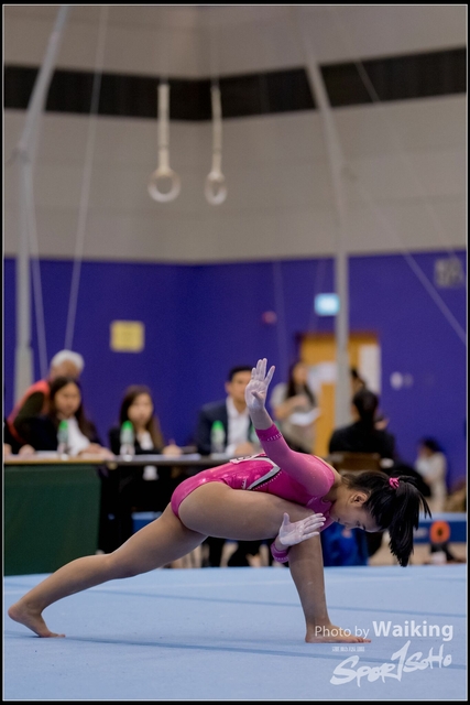 2019-03-31 Artistic Gym 0598