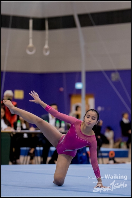 2019-03-31 Artistic Gym 0600