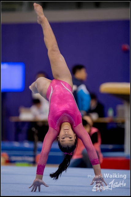 2019-03-31 Artistic Gym 0607