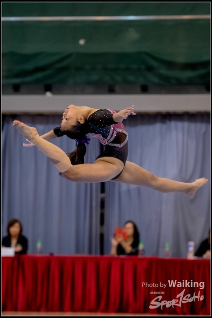 2019-03-31 Artistic Gym 0631