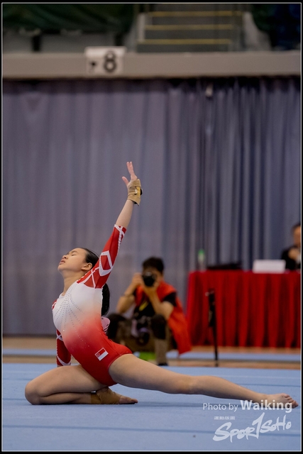 2019-03-31 Artistic Gym 0669