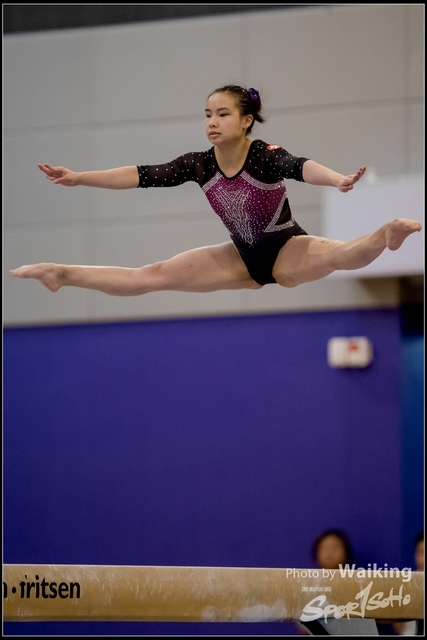 2019-03-31 Artistic Gym 0688