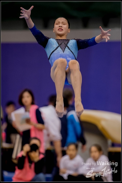 2019-03-31 Artistic Gym 0711