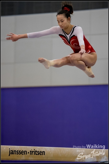 2019-03-31 Artistic Gym 0724