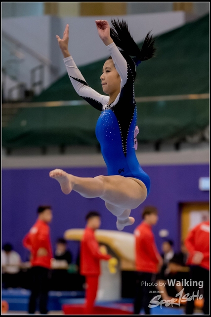 2019-03-31 Artistic Gym 0741