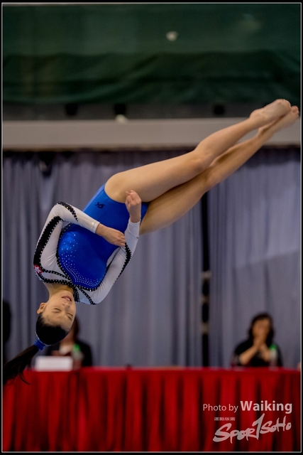 2019-03-31 Artistic Gym 0745