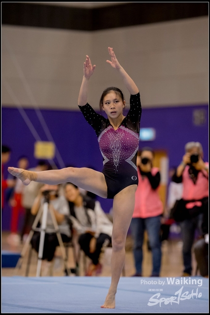 2019-03-31 Artistic Gym 0799