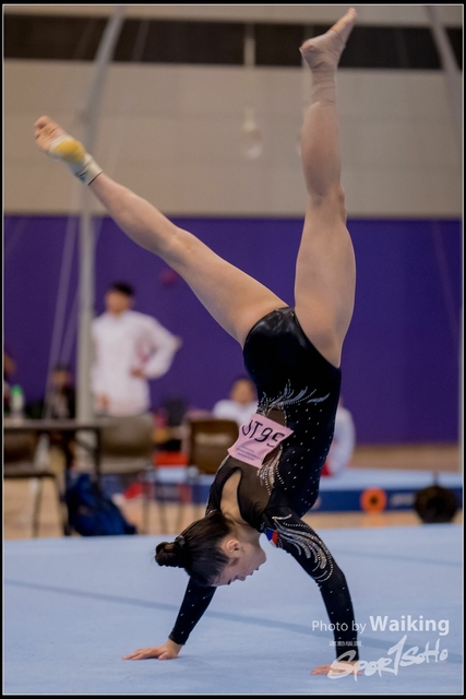 2019-03-31 Artistic Gym 0809