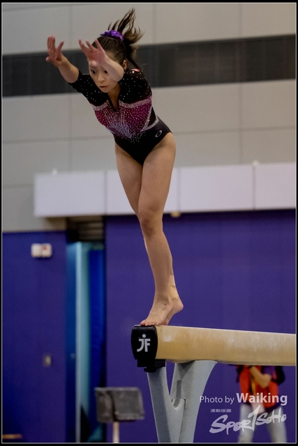 2019-03-31 Artistic Gym 0830