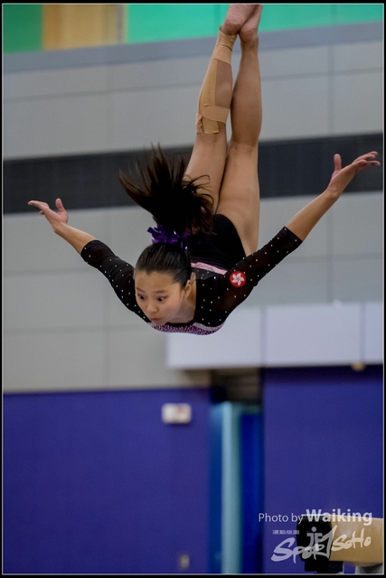 2019-03-31 Artistic Gym 0831