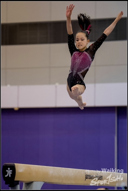 2019-03-31 Artistic Gym 0834