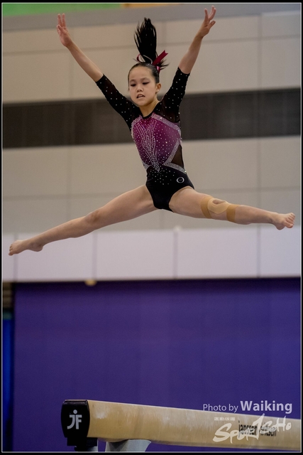 2019-03-31 Artistic Gym 0835