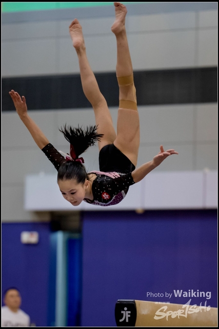 2019-03-31 Artistic Gym 0840