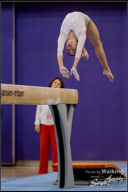 2019-03-31 Artistic Gym 0845