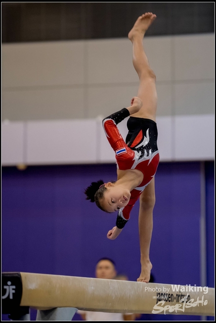 2019-03-31 Artistic Gym 0848