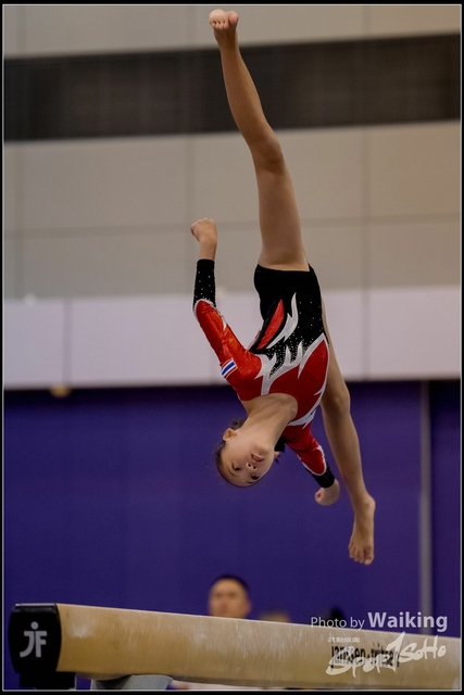 2019-03-31 Artistic Gym 0849