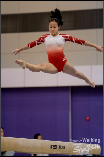 2019-03-31 Artistic Gym 0851