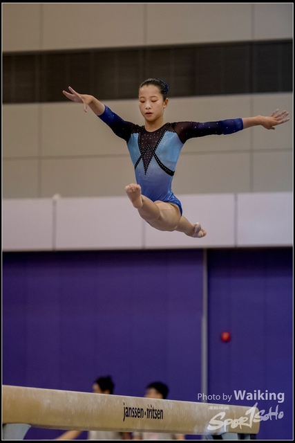 2019-03-31 Artistic Gym 0855