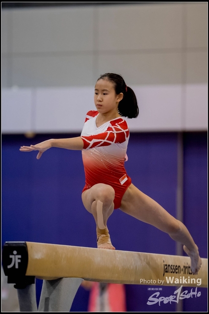 2019-03-31 Artistic Gym 0894
