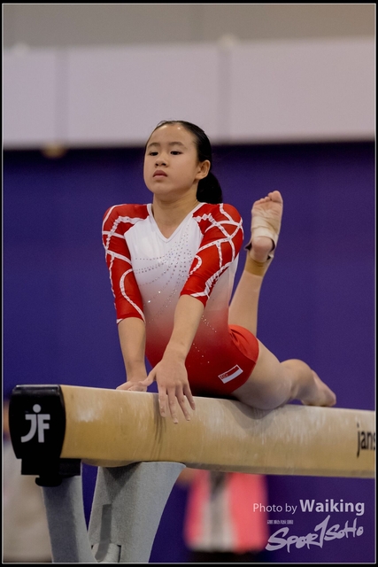 2019-03-31 Artistic Gym 0895