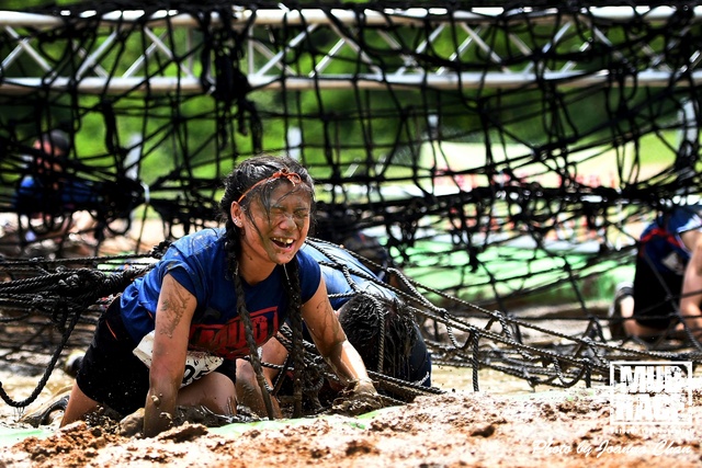 MUD (65)