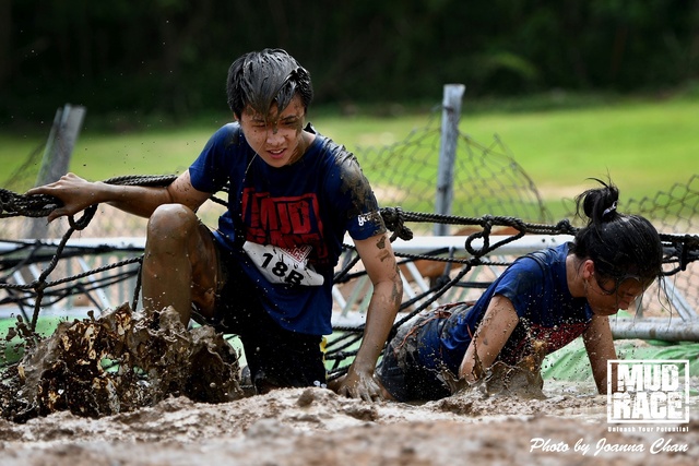 MUD (81)