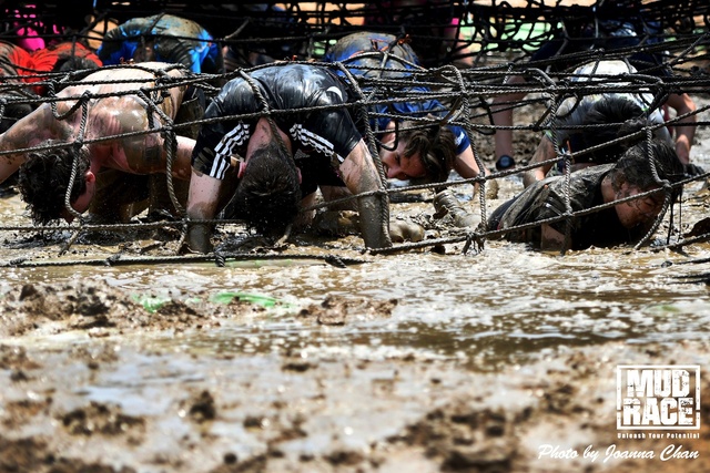 MUD (102)