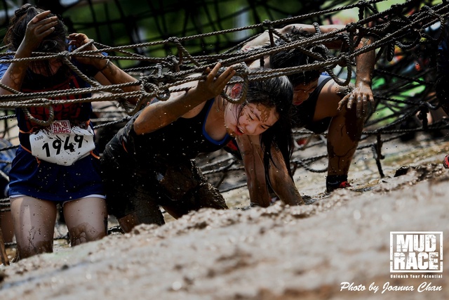 MUD (123)