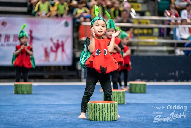 Gymnastics-238