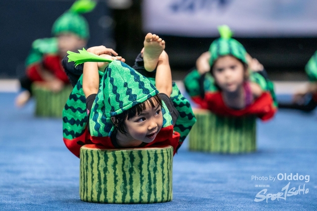 Gymnastics-242