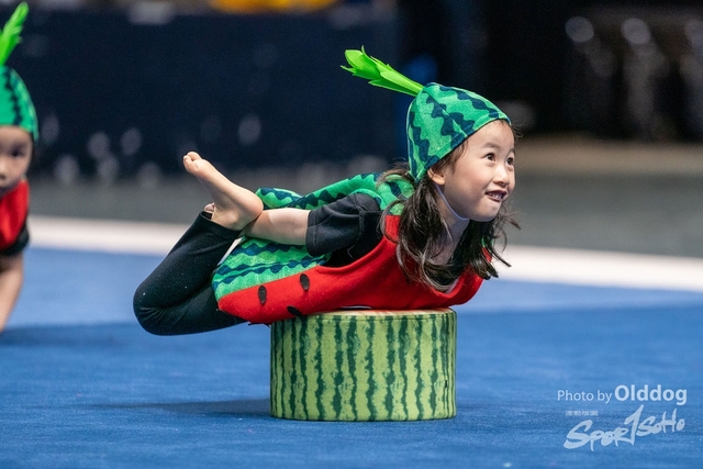 Gymnastics-245