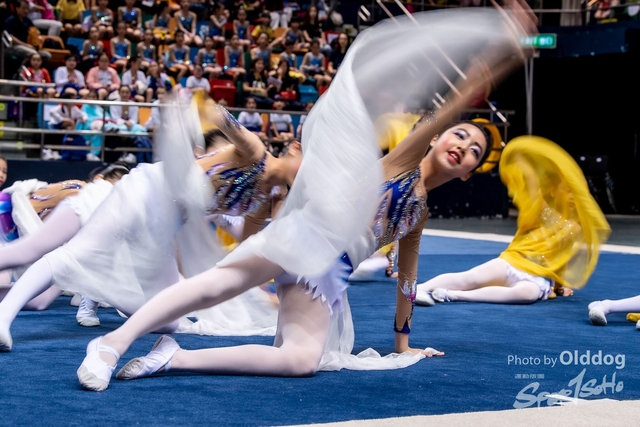 Gymnastics-273