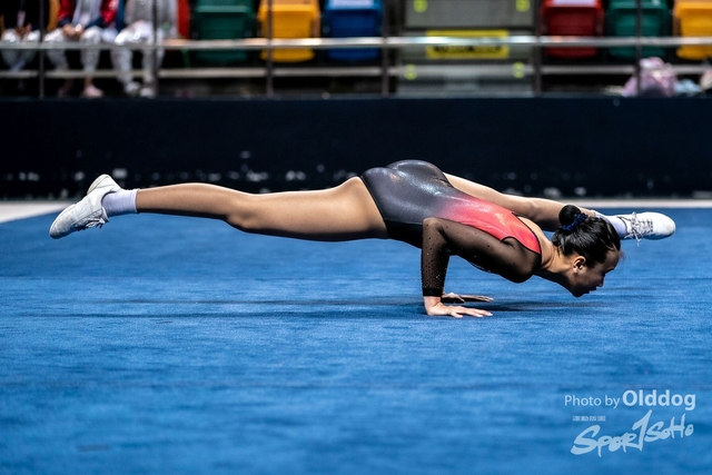 Gymnastics-306
