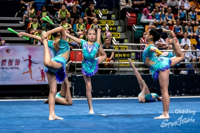 Gymnastics-317