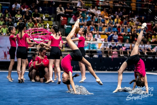 Gymnastics-323
