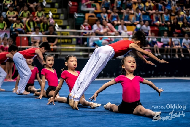 Gymnastics-329