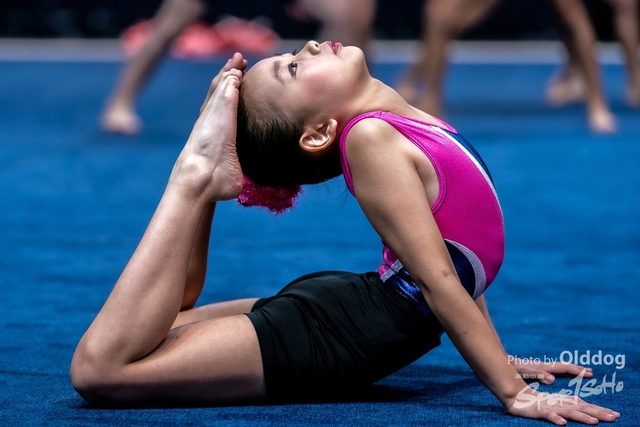 Gymnastics-346