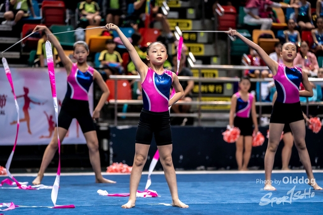 Gymnastics-352